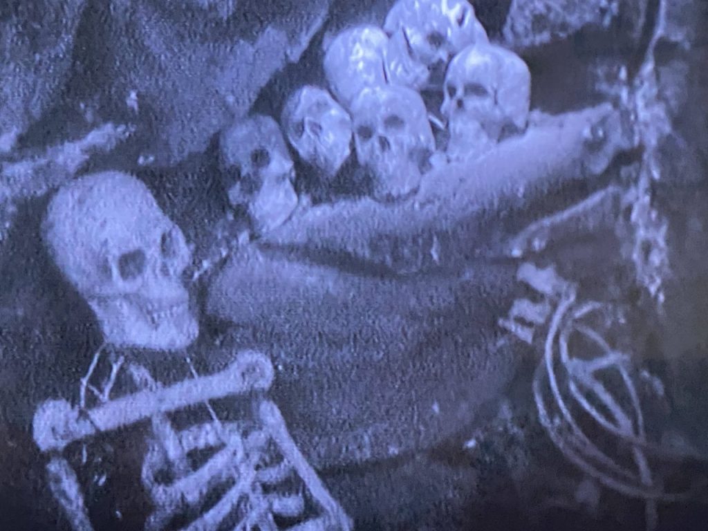 A clearer shot of the skeletons and skulls in The Forest of Fear 