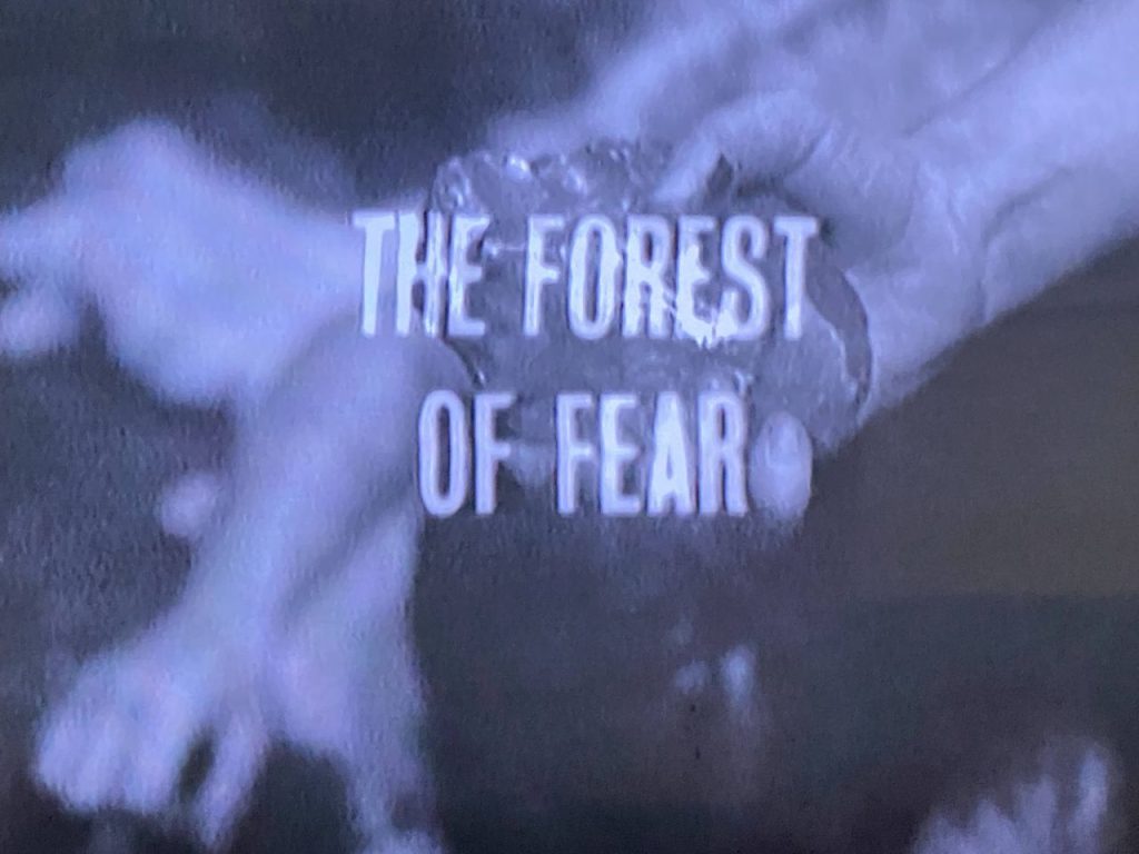 The caption card for The Forest of Fear